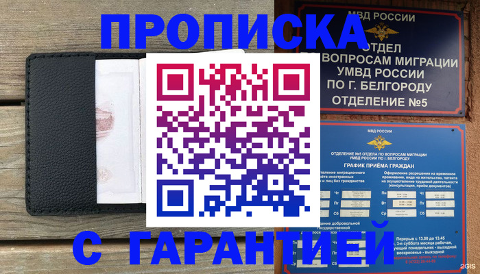 временная регистрация для всех в Лузе